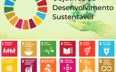ODS e InteligĂȘncia Social