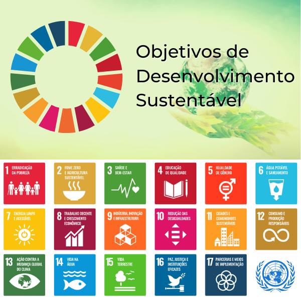 ODS e Inteligência Social
